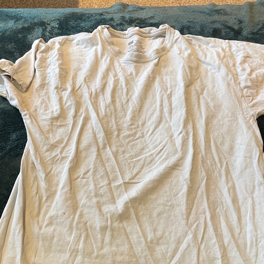Hanes Light Gray Men's Short Sleeve Tee